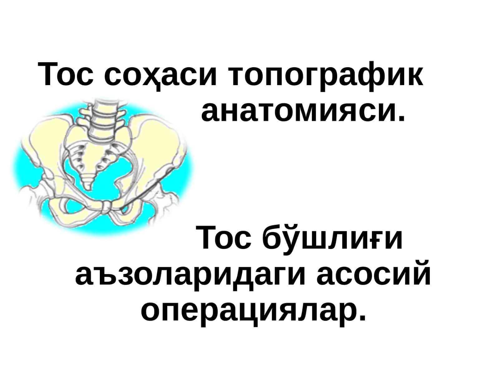 Тос соҳаси ва ундаги аъзолар топографик анатомияси