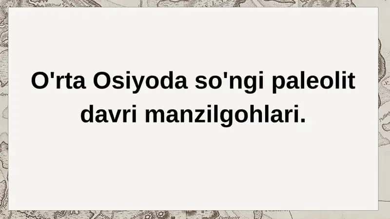 So'nggi paleolit davri manzilgohlari