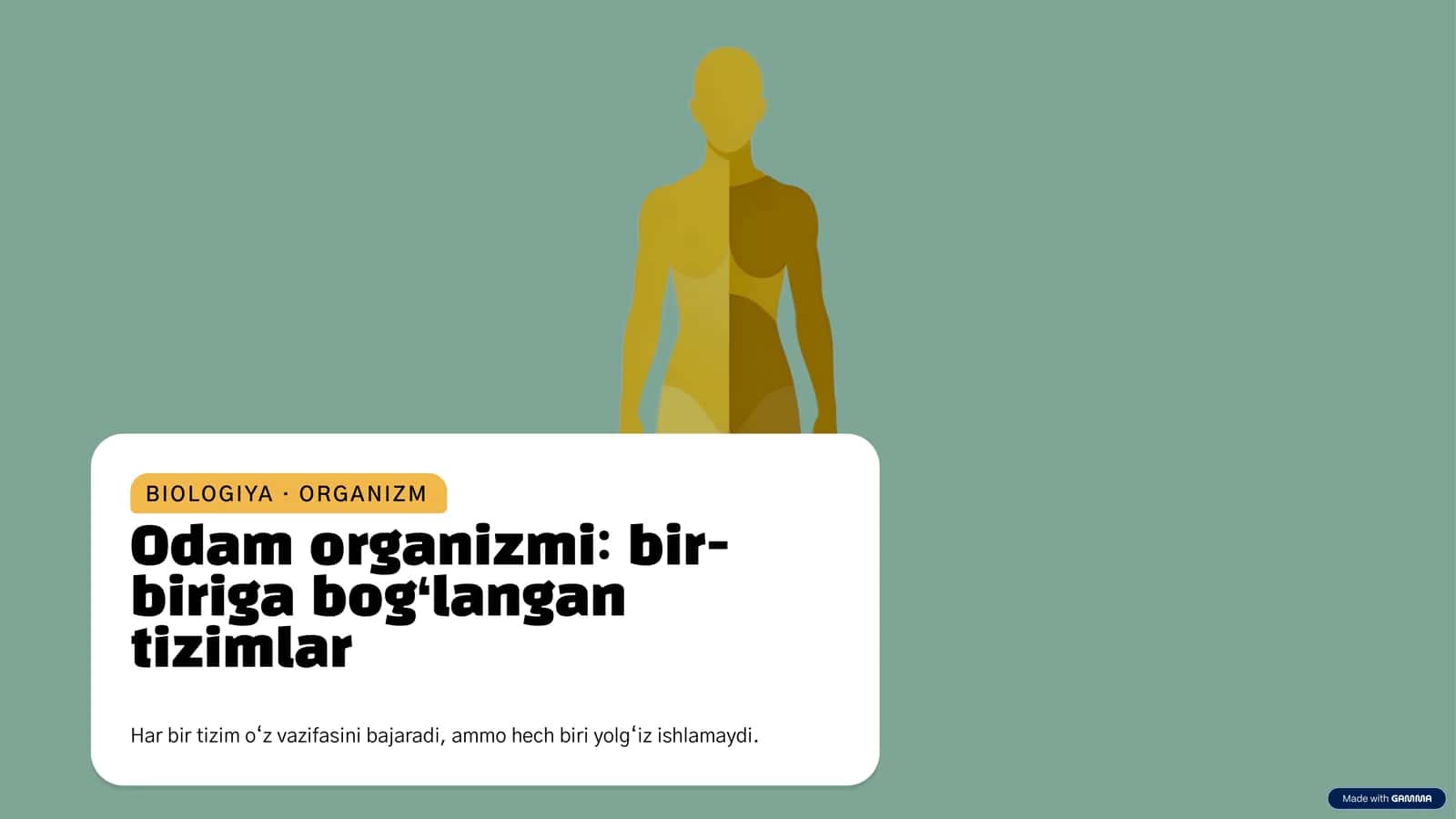[Odam organizmi: bir-biriga bog‘langan tizimlar]