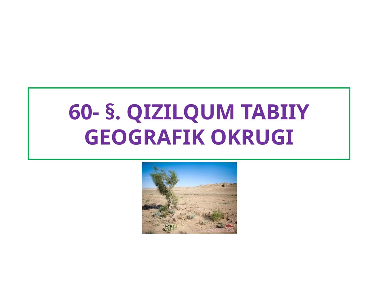 QIZILQUM TABIIY GEOGRAFIK OKRUGI