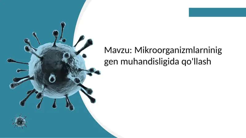 Mikroorganizmlarning gen muhandisligida qo'llash