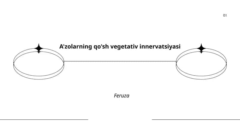 Qo'sh vegetativ innervatsiyasi