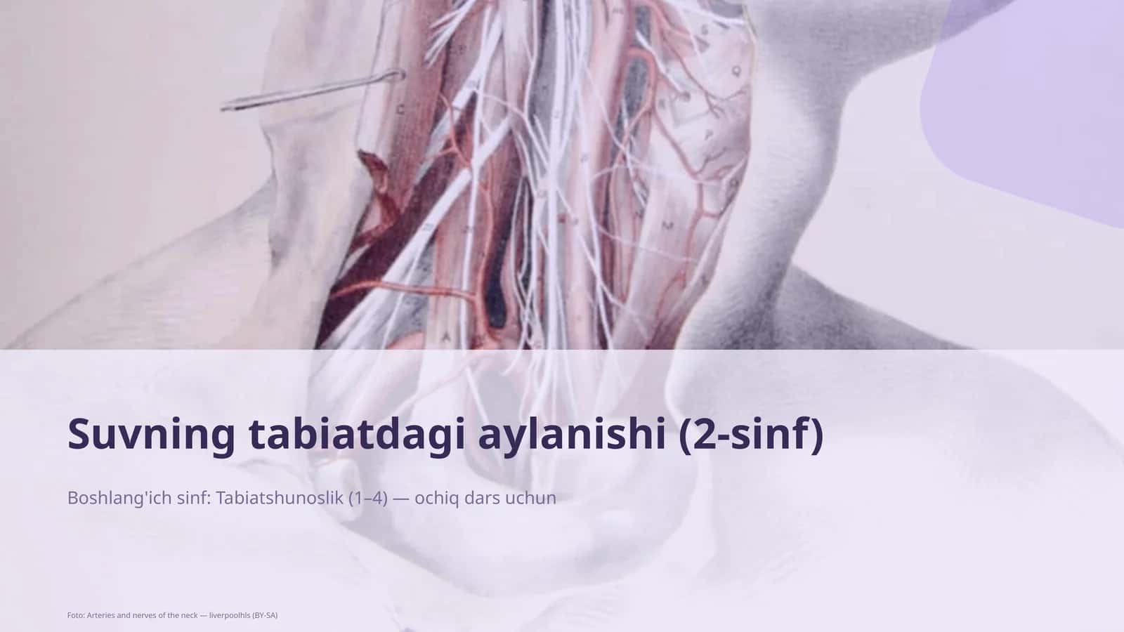 Suvning tabiatdagi aylanishi (2-sinf)