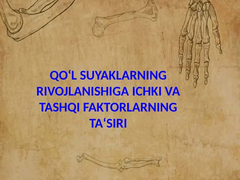 QO‘L SUYAKLARNING RIVOJLANISHIGA ICHKI VA TASHQI FAKTORLARNING TA‘SIRI