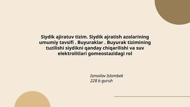 Siydik ajiratuv tizim