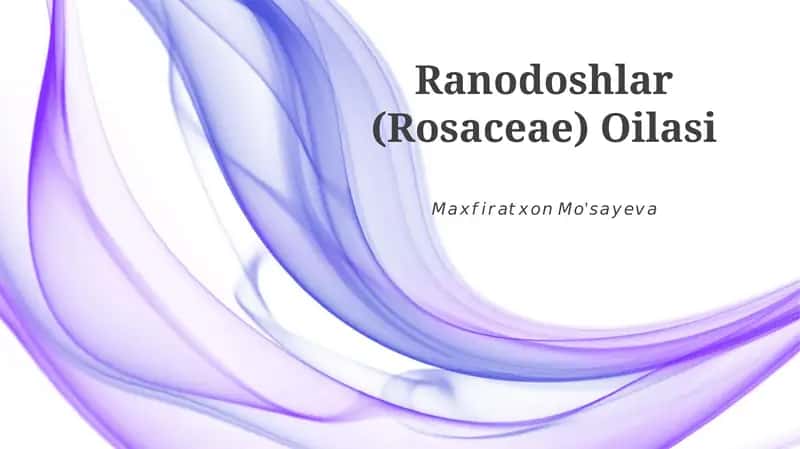 Ranodoshlar (Rosaceae) Oilasi