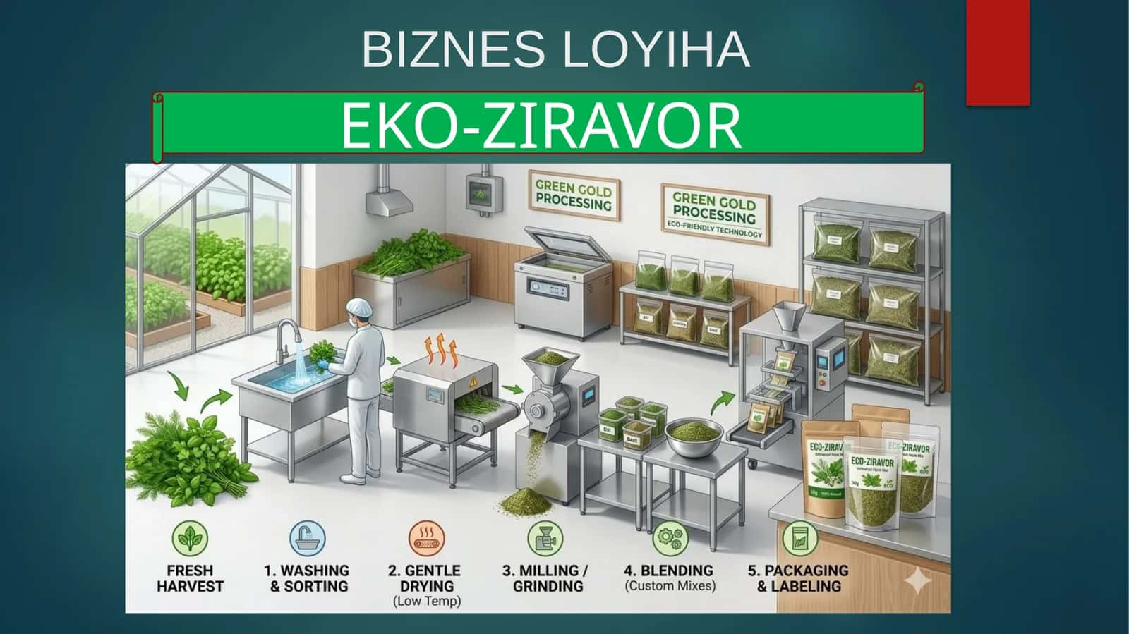 (100 millionlik loyiha ishi) EKO-ZIRAVOR