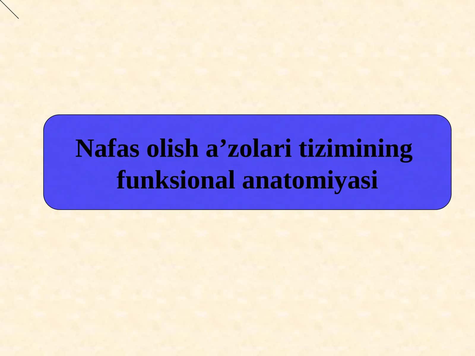 Nafas olish a’zolari tizimining funksional anatomiyasi