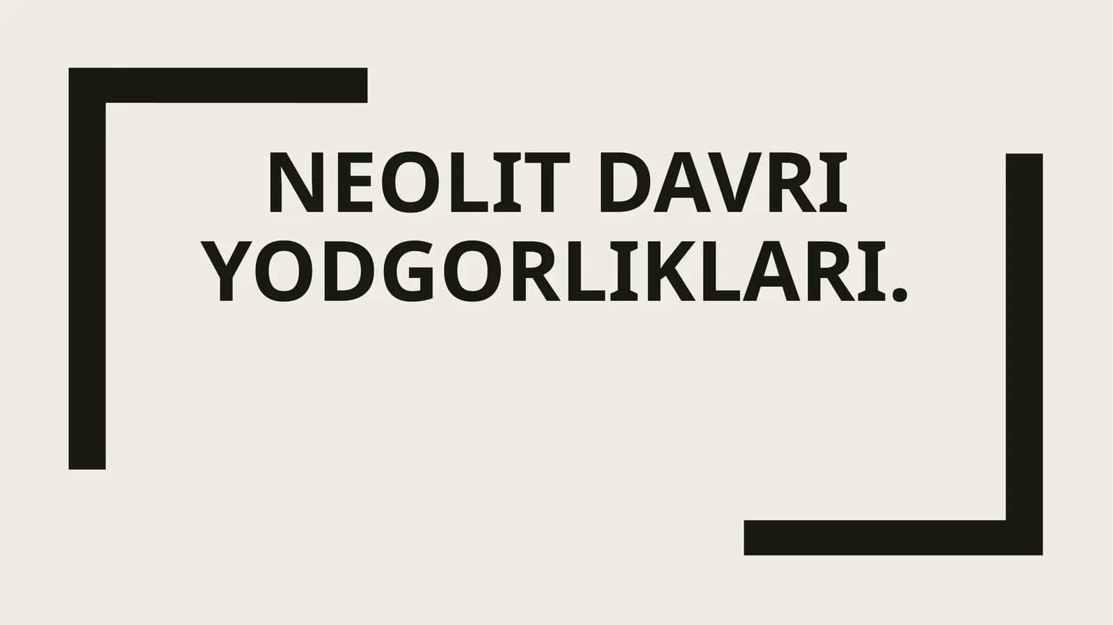 Neolit davriyodgorliklari