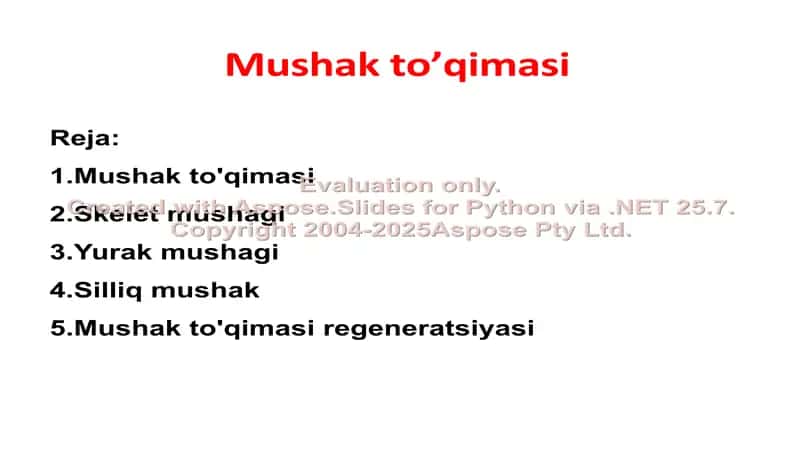 Mushak to’qimasi