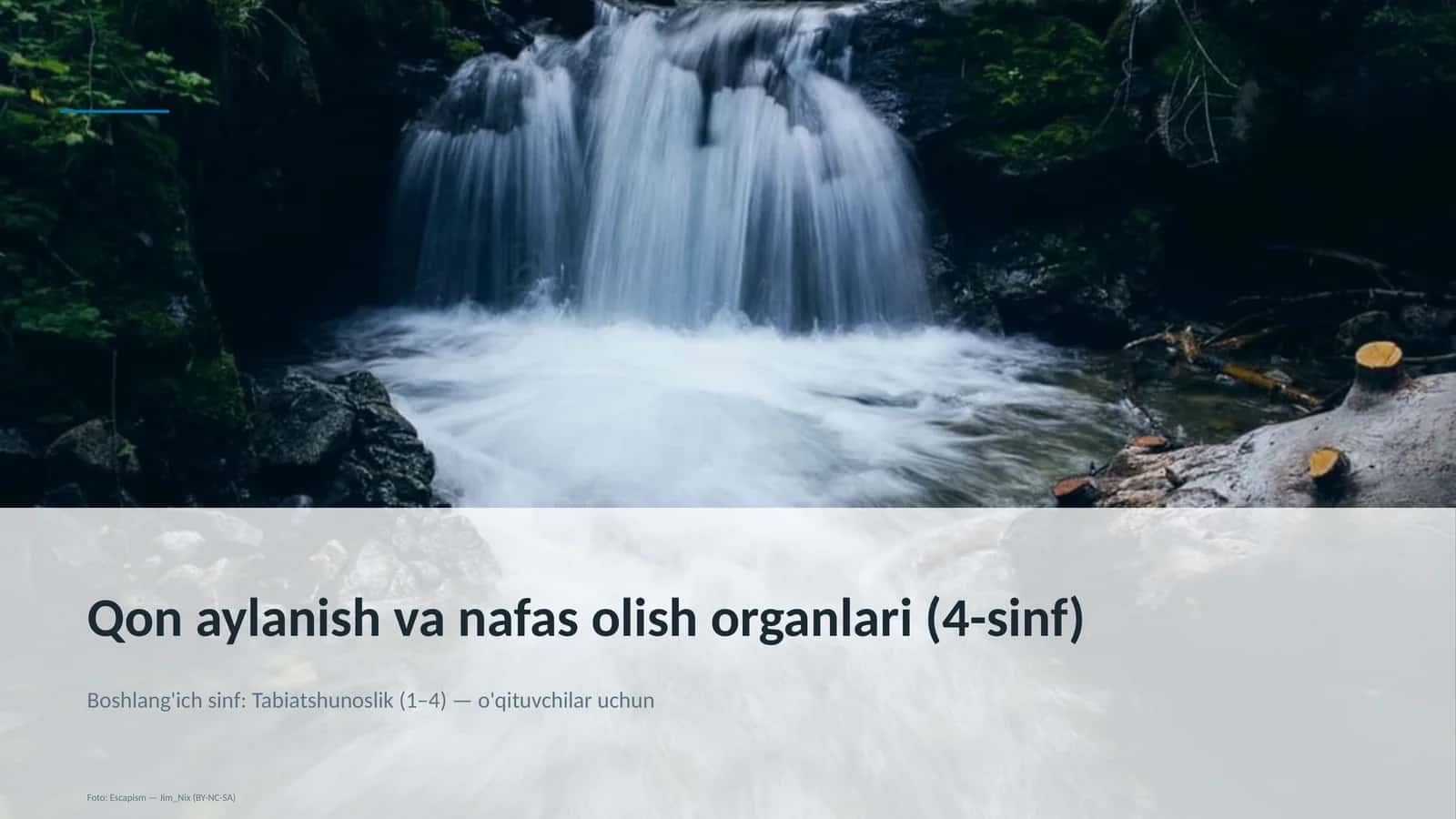 Qon aylanish va nafas olish organlari (4-sinf)