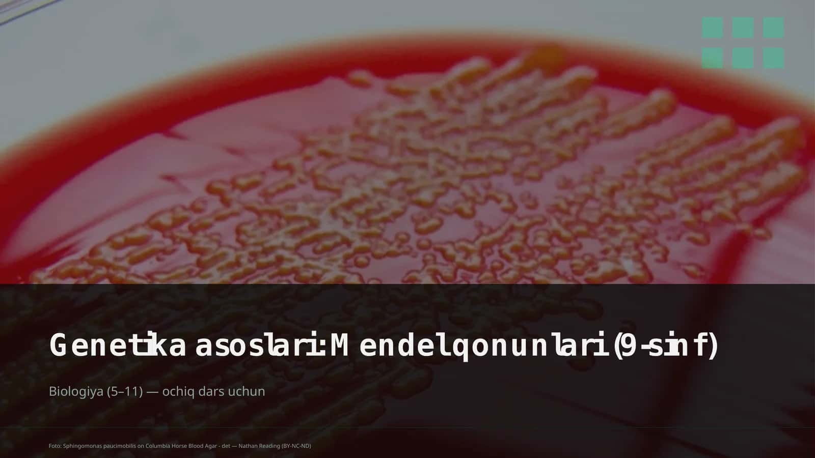 Genetika asoslari: Mendel qonunlari (9-sinf)