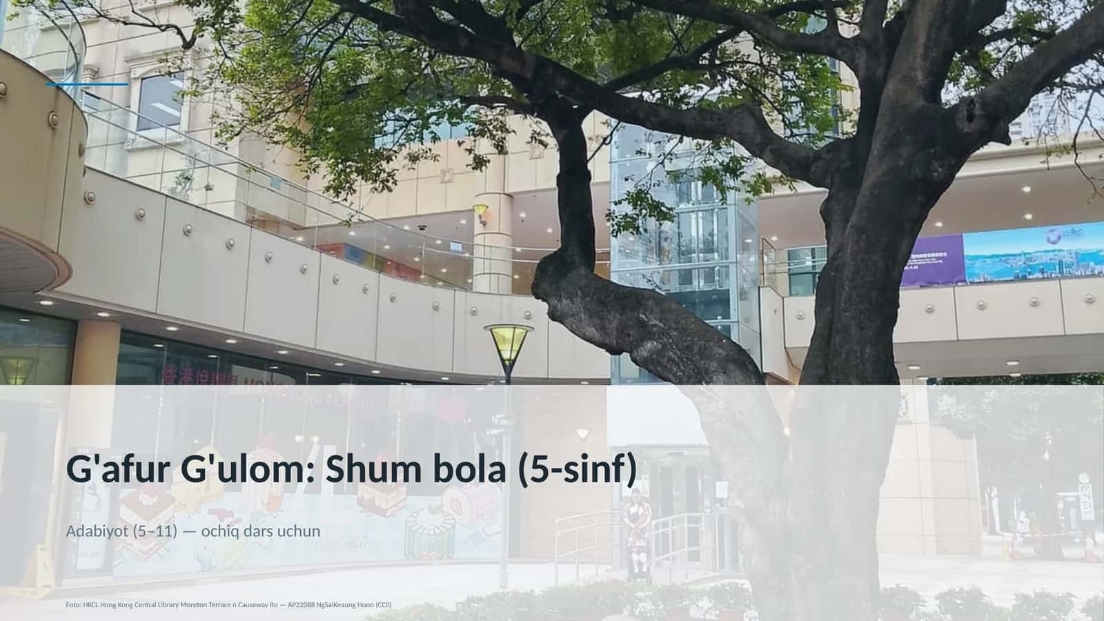 Shum bola (5-sinf)