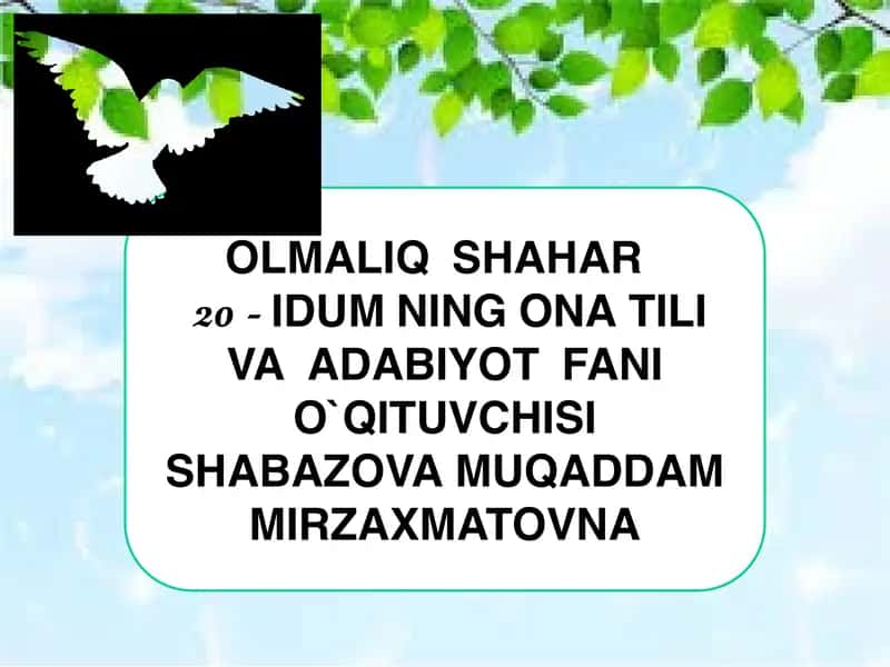 Modal so'zlar va ularning ma'noutlari