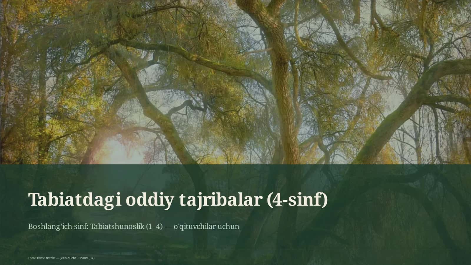 Tabiatdagi oddiy tajribalar (4-sinf)