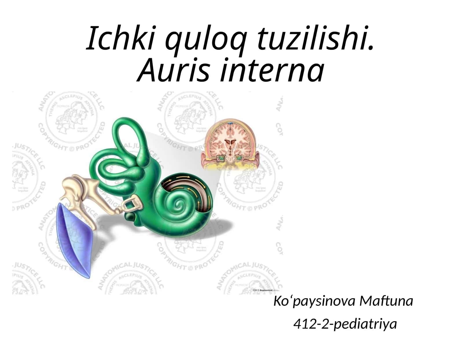 Ichki quloq tuzilishi.Auris interna(LOR)