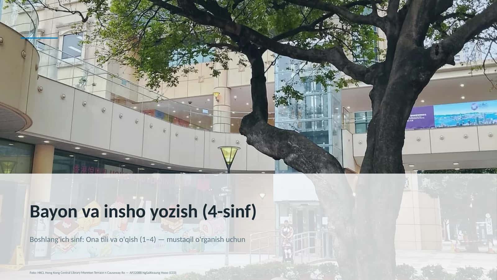Bayon va insho yozish (4-sinf)