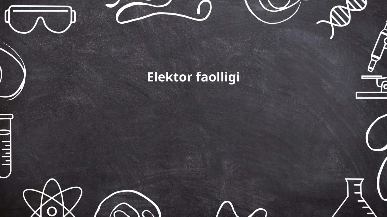 Elektor faolligi