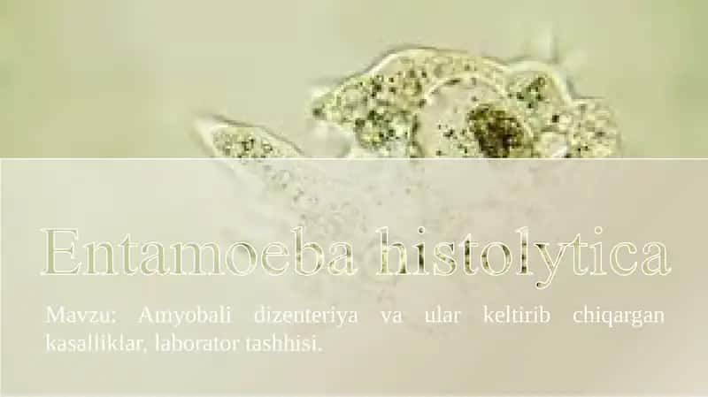 Amyobalidizenteriyavaularkeltiribchiqargankasalliklar,laboratortashhisi