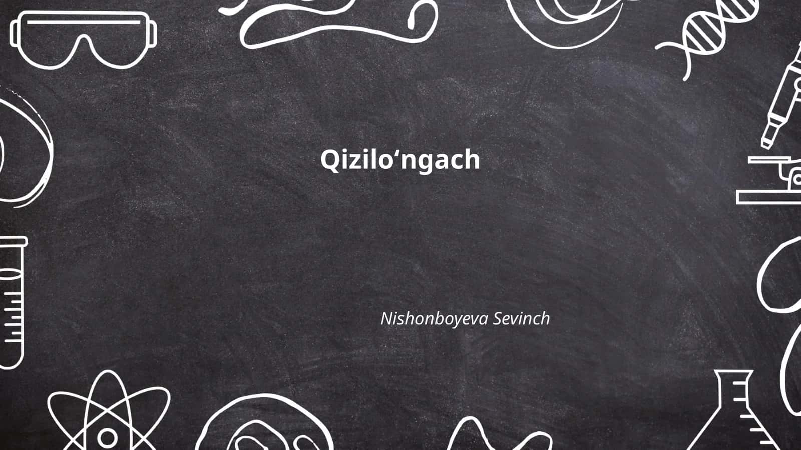 Qiziloʻngach Anatomiyasi