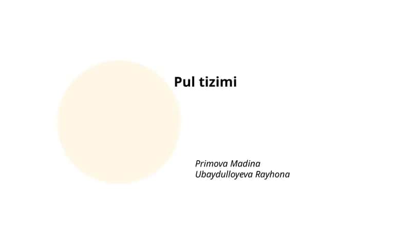 Pul tizimi