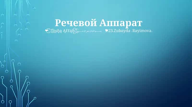 Речевой Аппарат