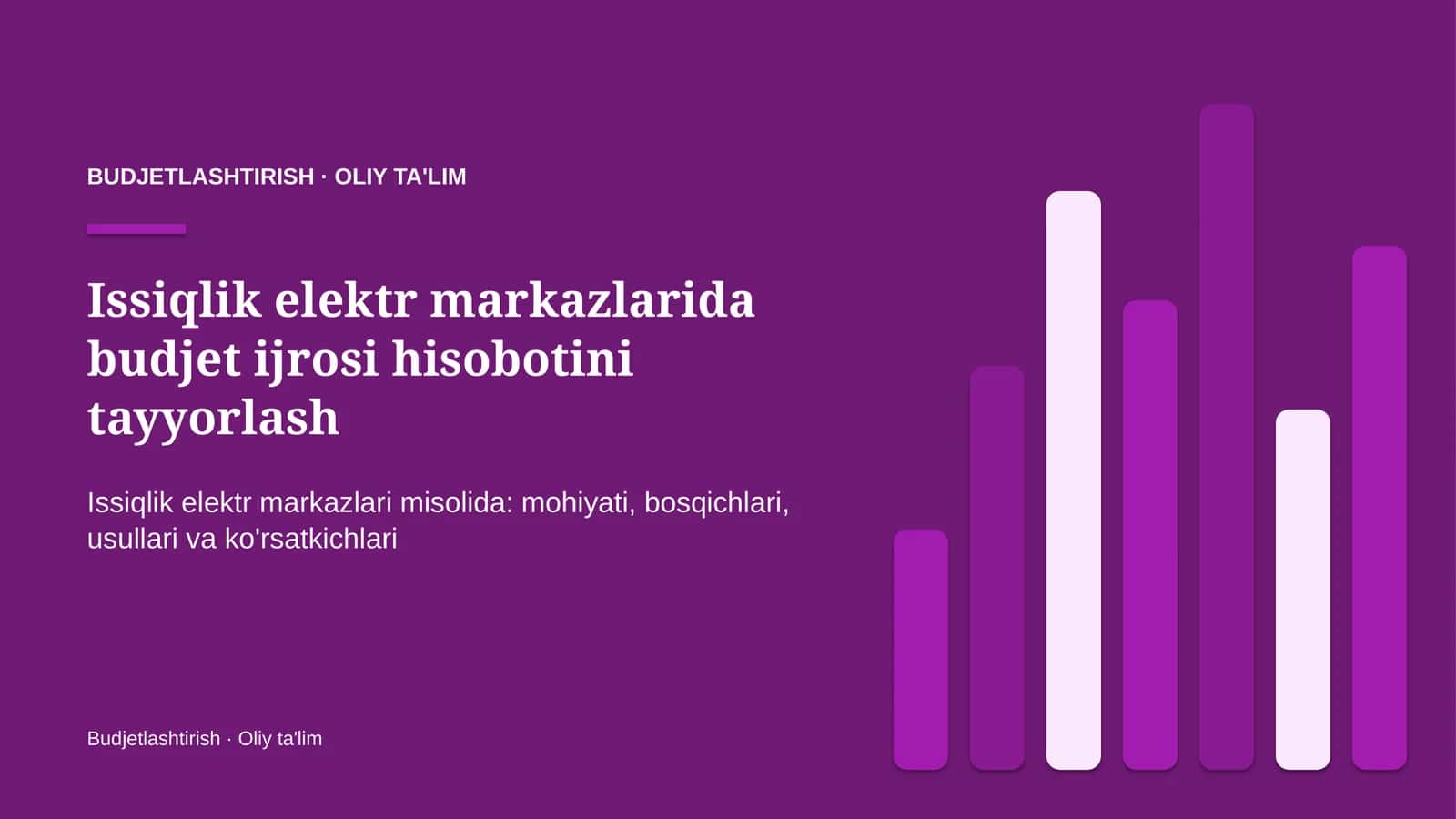 Issiqlik elektr markazlarida budjet ijrosi hisobotini tayyorlash