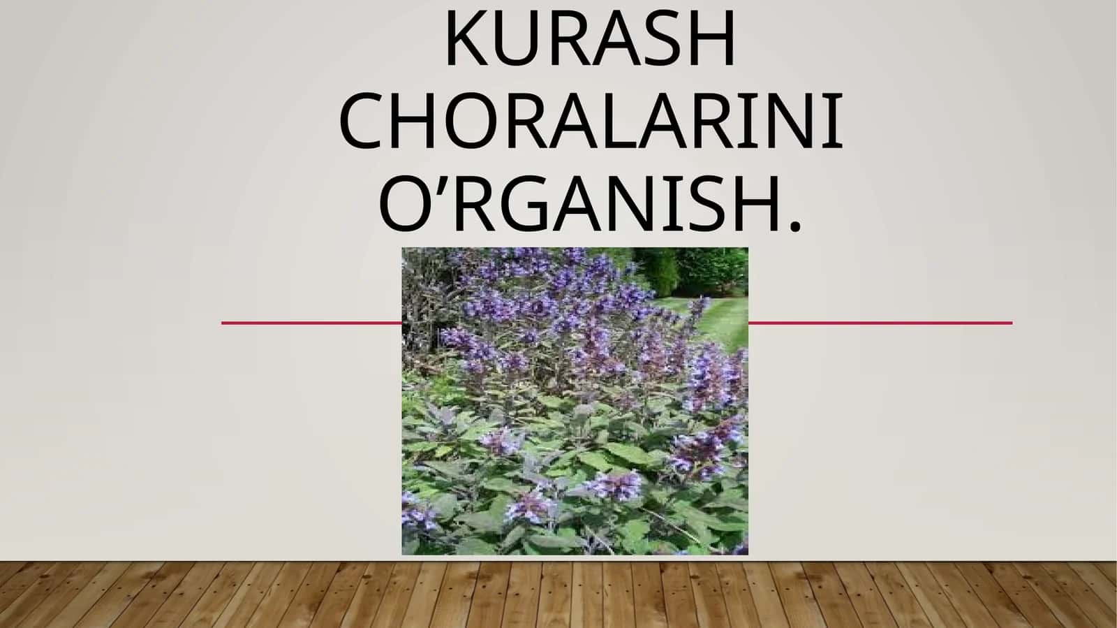 Mavrak o’simligi zararkunandalari va kasalliklari aniqlash haqda kurash choralarini o’rganish