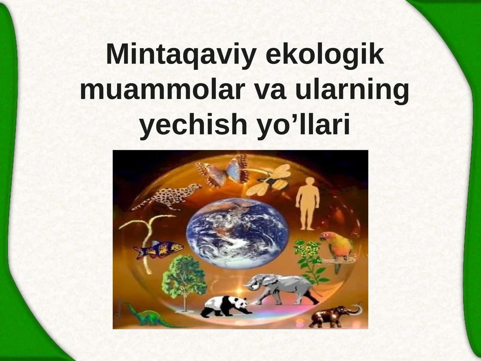 Mintaqaviy ekologik muammolar va ularning yechish yo'llari