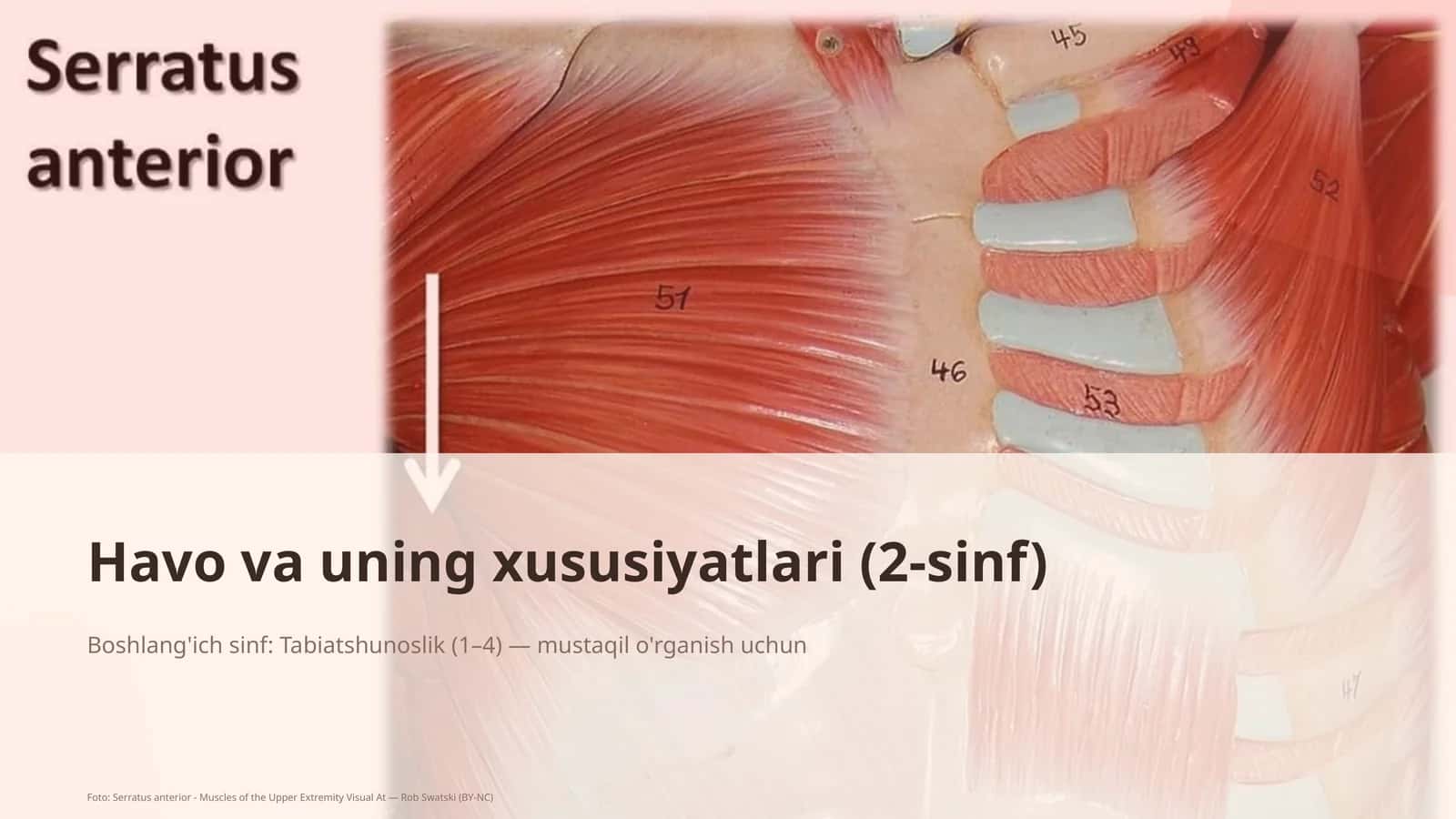 Havo va uning xususiyatlari (2-sinf)