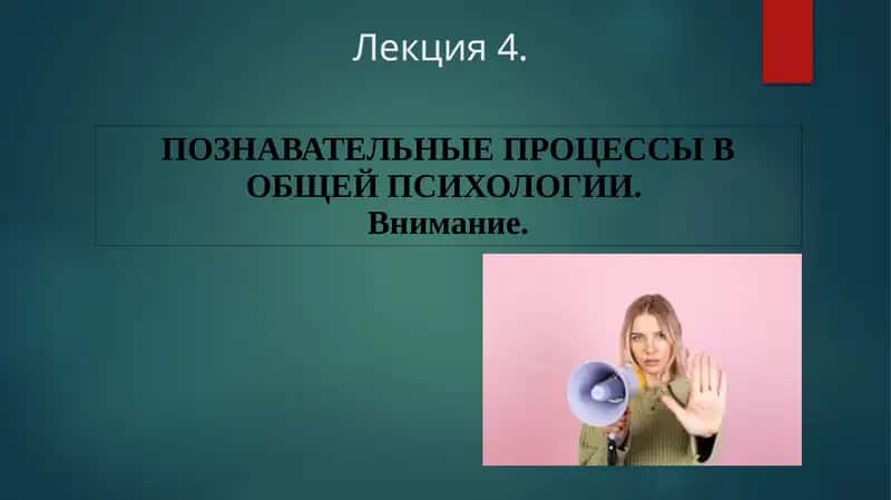Познавательные процессы в общей психологии
