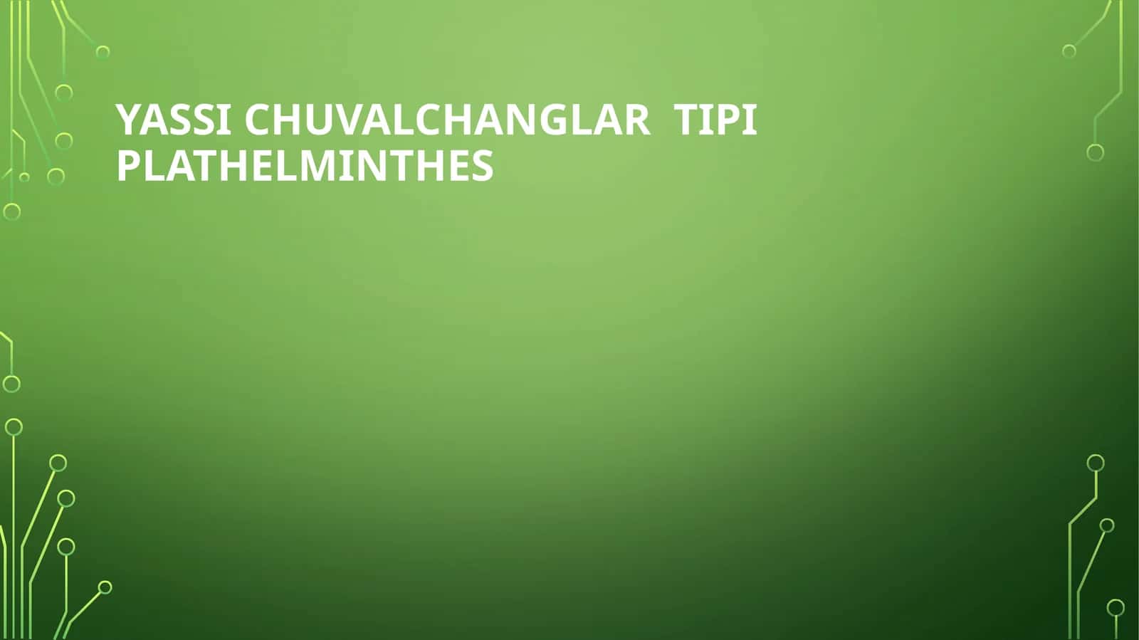 Yassi chuvalchanglar