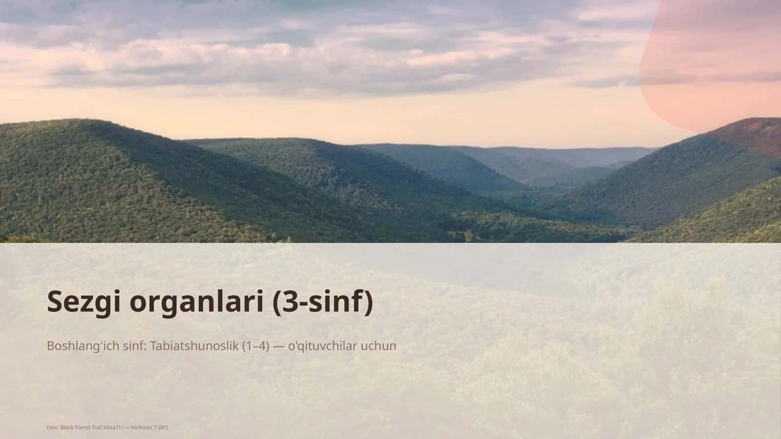 Sezgi organlari (3-sinf)