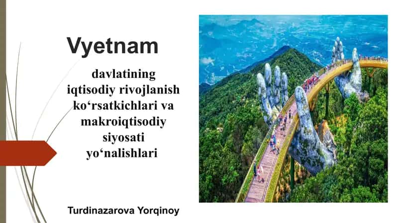 Vyetnamning iqtisodiy rivojlanish ko‘rsatkichlari va makroiqtisodiy siyosati yo‘nalishlari