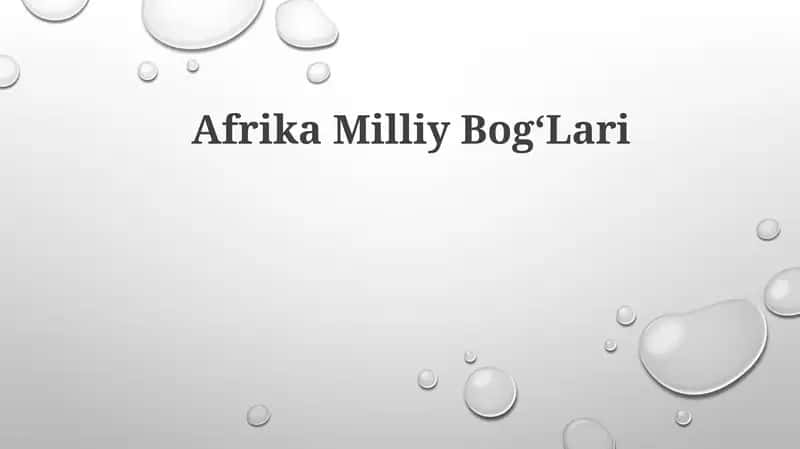 Afrika MilliyBog‘Lari