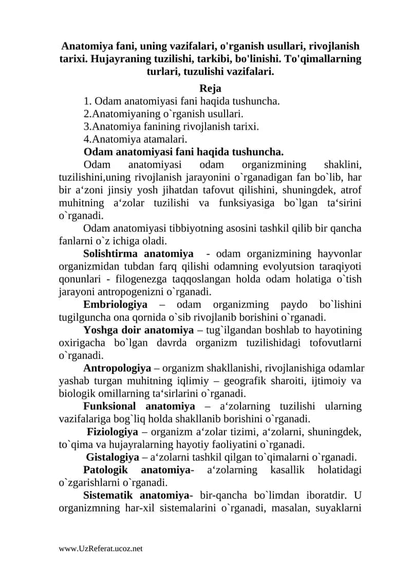 Odam anatomiyasi