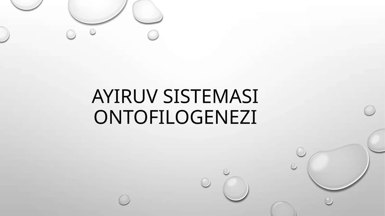 Ayiruv sistemasi ontofilogenezi