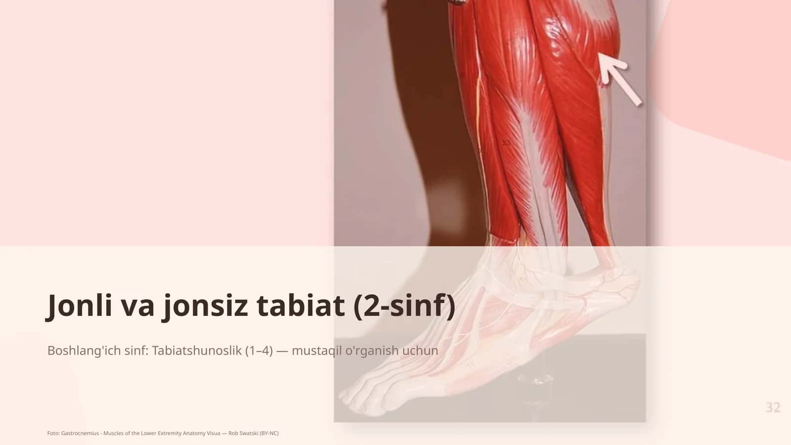 Jonli va jonsiz tabiat (2-sinf)