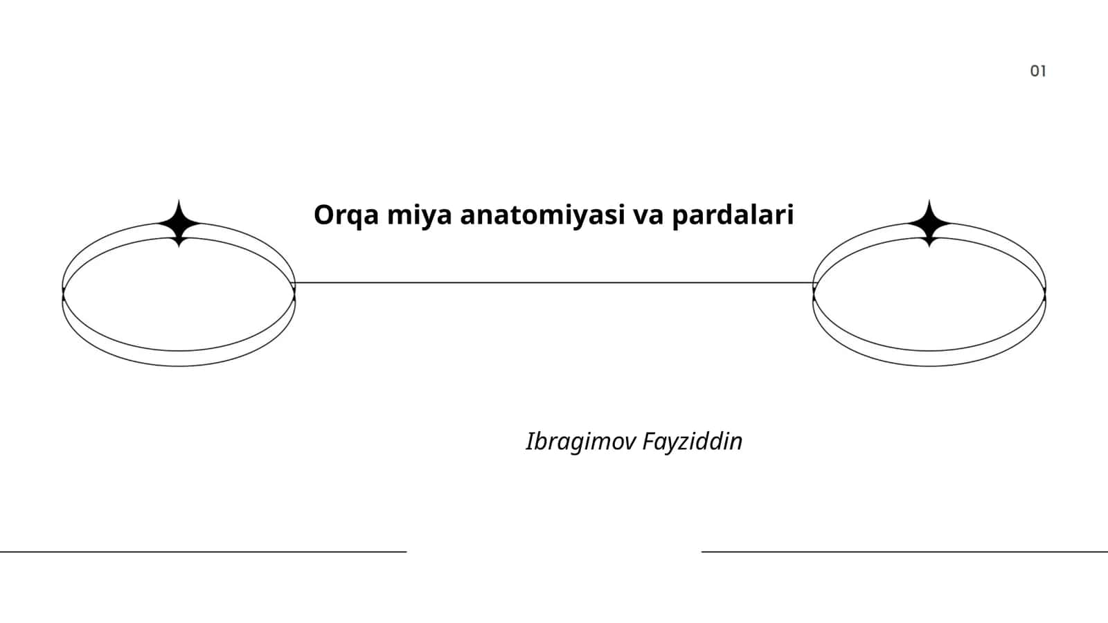 Orqa miya anatomiyasi va pardalari