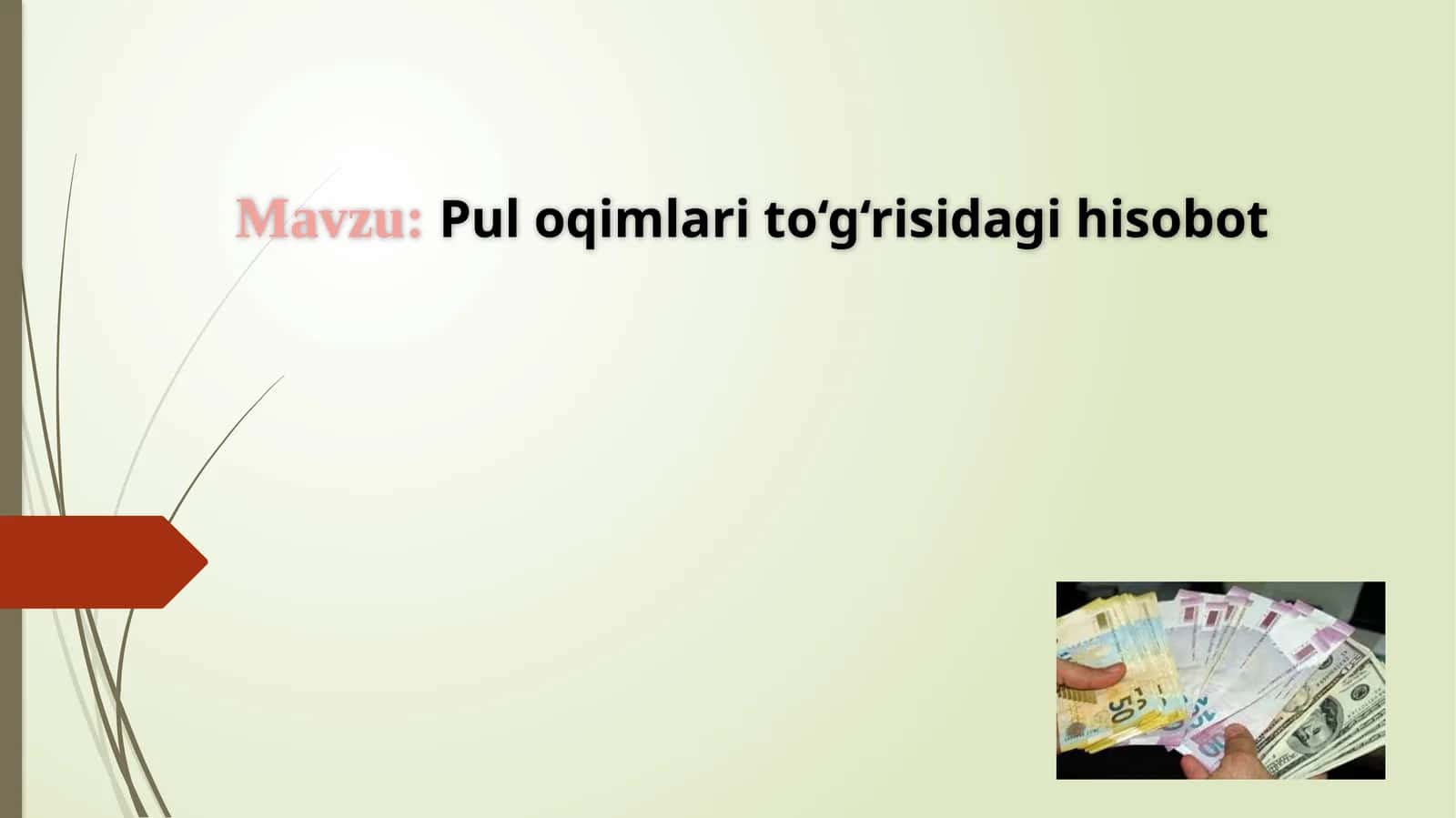 Puloqimlar to‘g‘risidagi hisobot