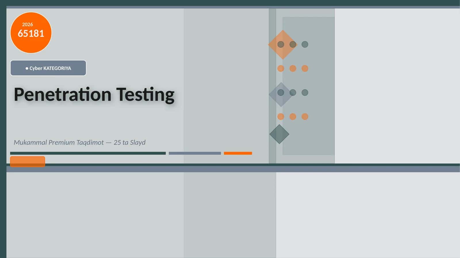 Penetration Testing