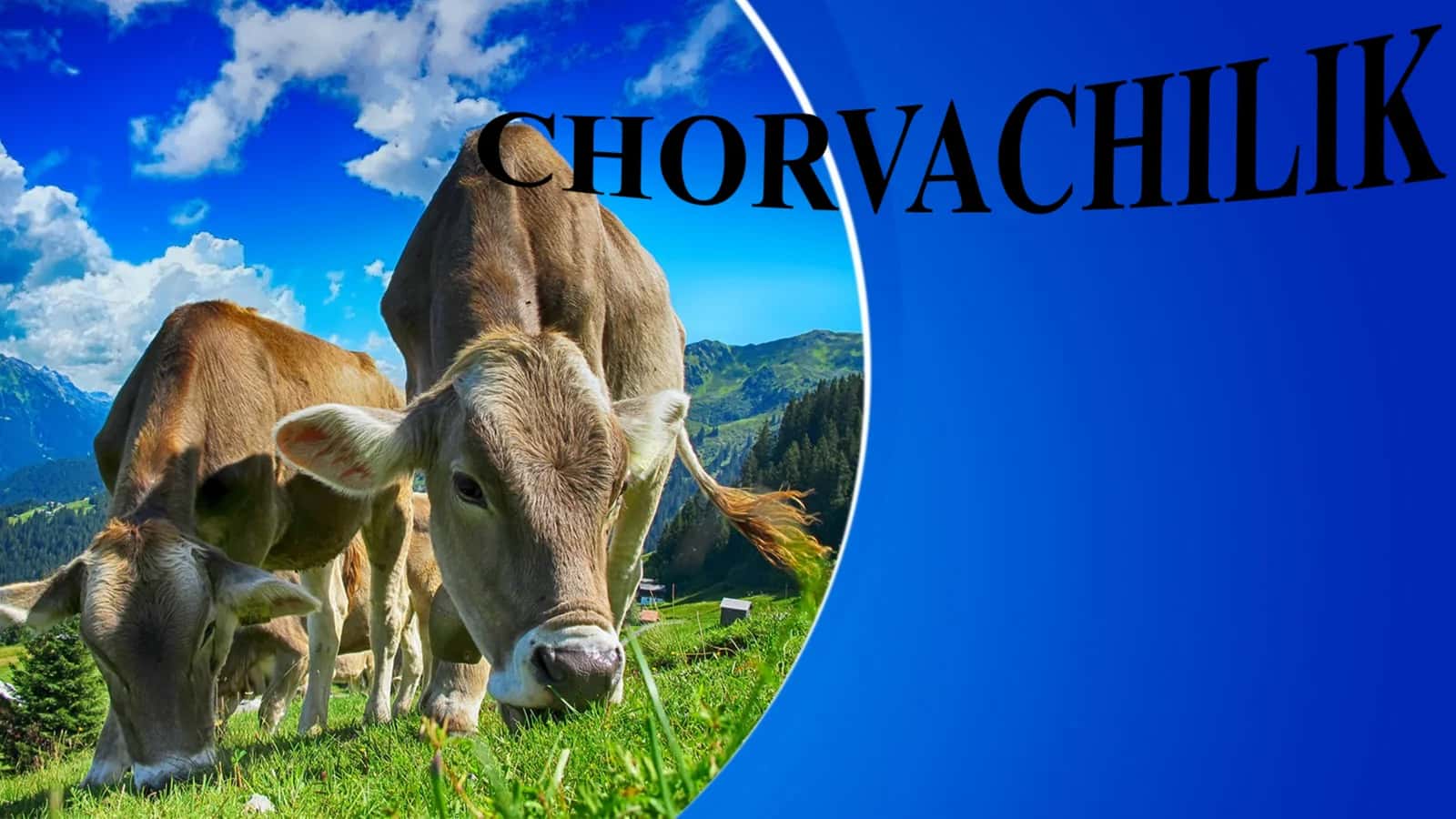 CHORVACHILIK