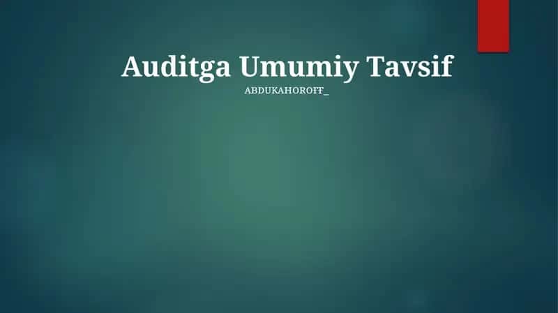 Auditga Umumiy Tavsif