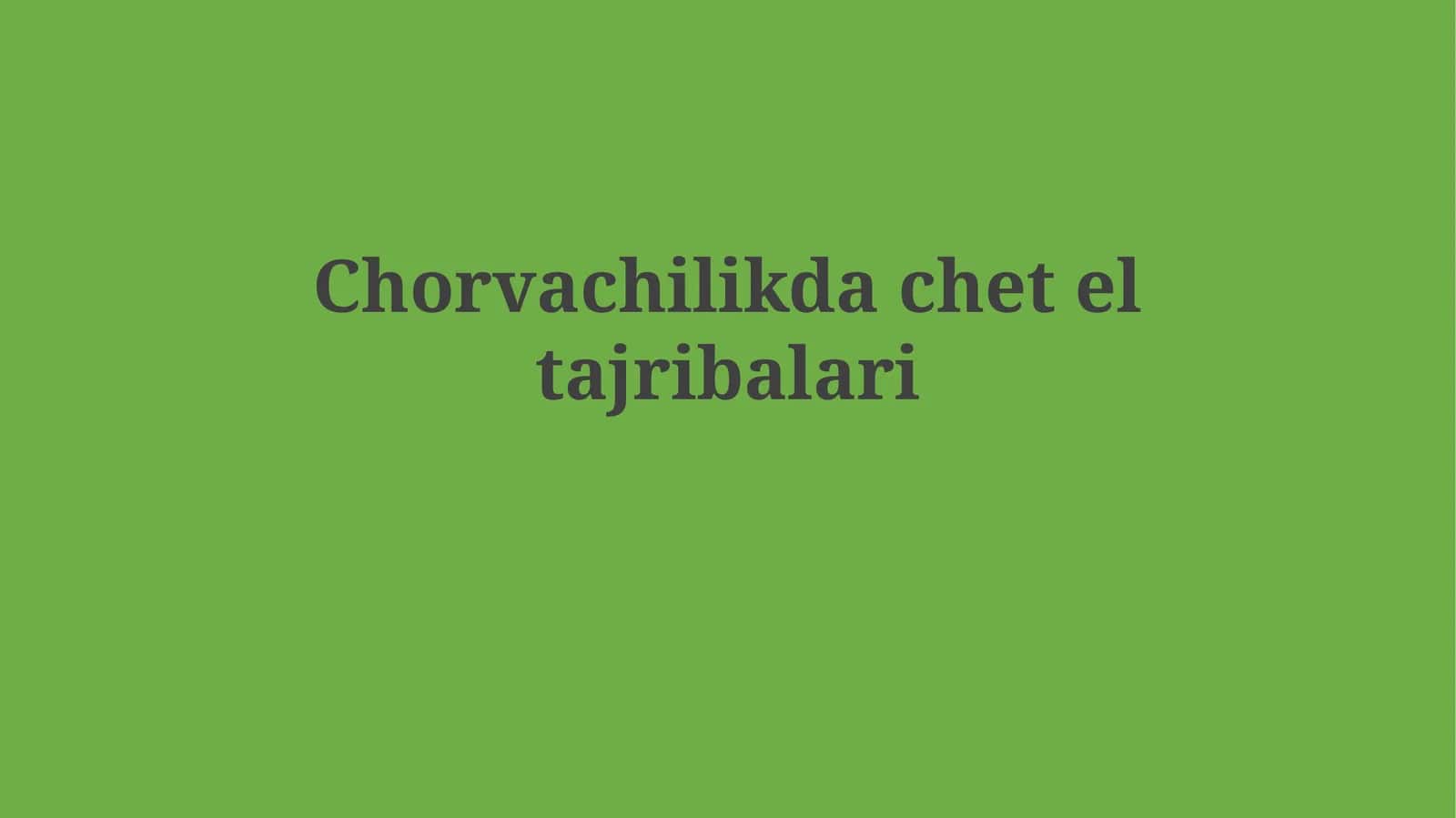 Chorvachilikda chet eltajribalari