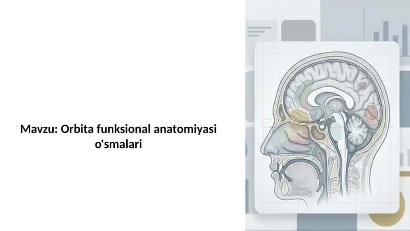 Orbita funksional anatomiyasi o'smalari