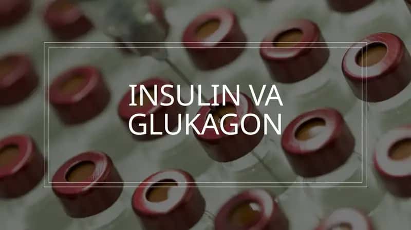 Insulin va Glukagon gormonlari