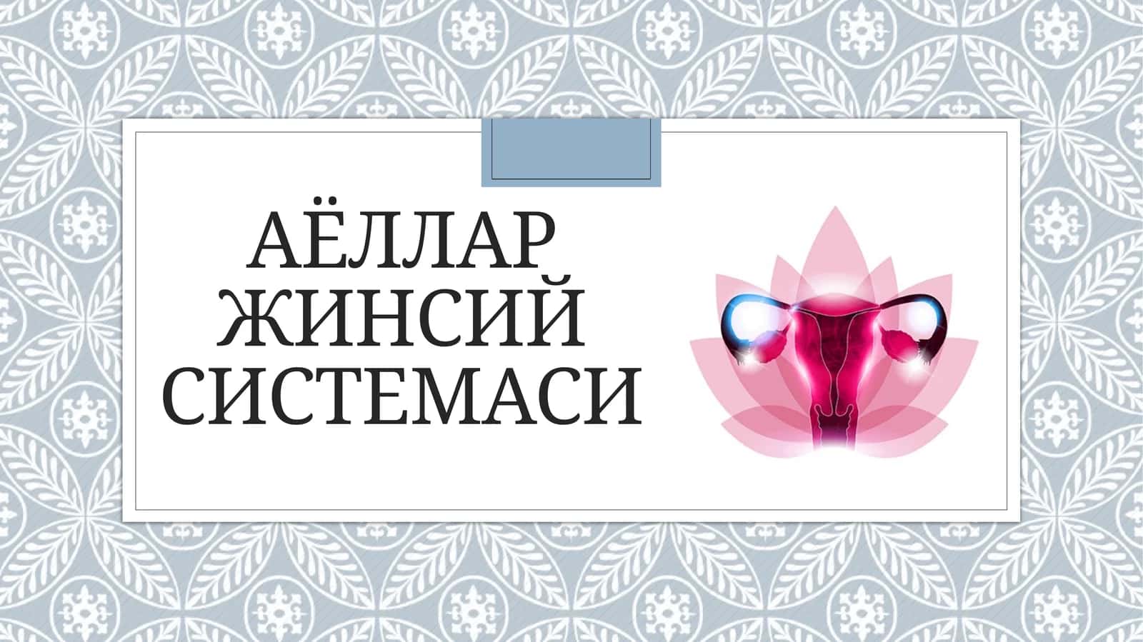 Аёлларжинсийсистемаси