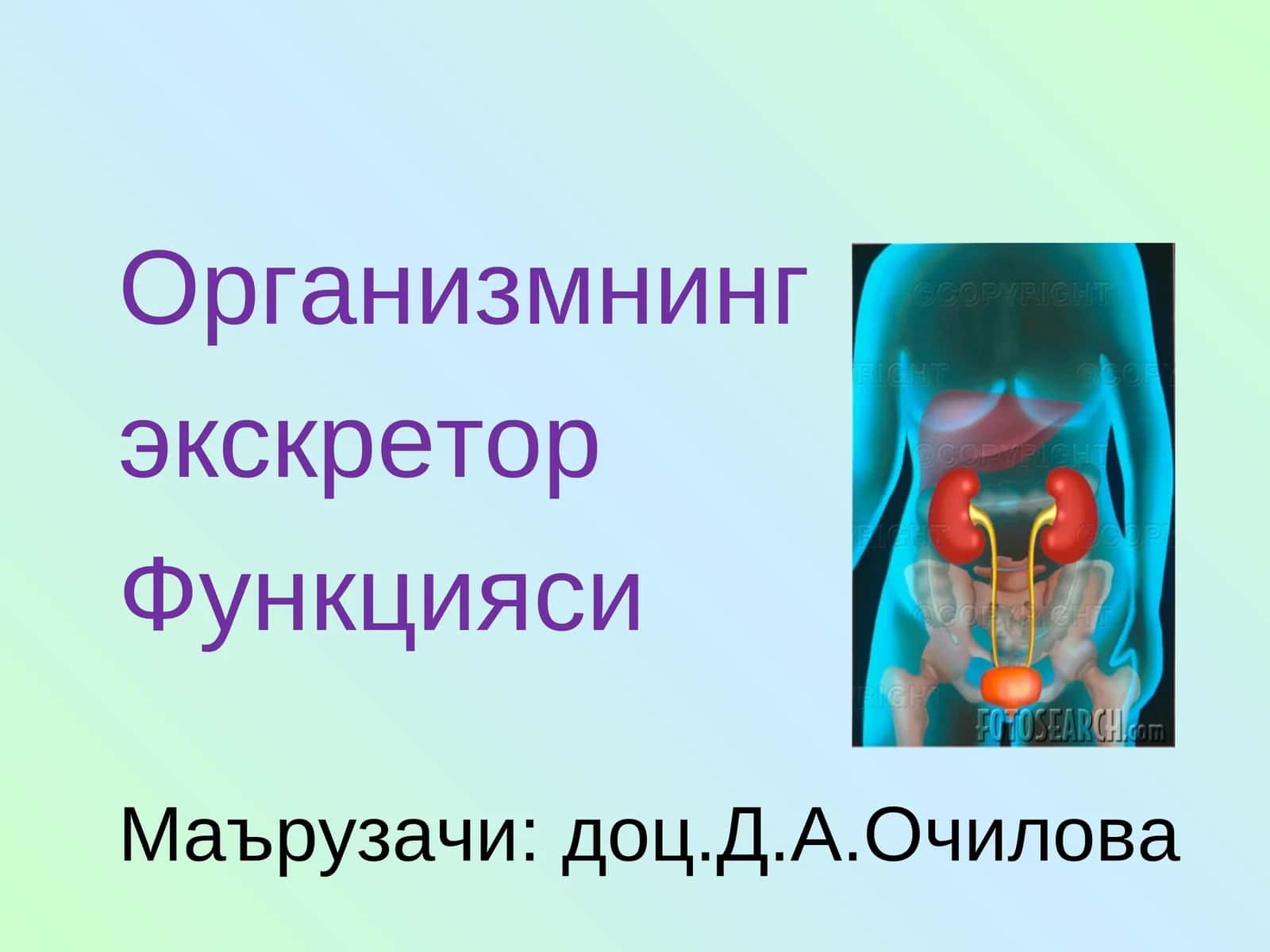 Экскретор функцияси
