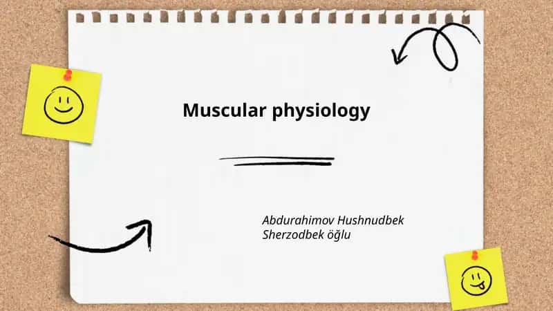 Muscular physiology