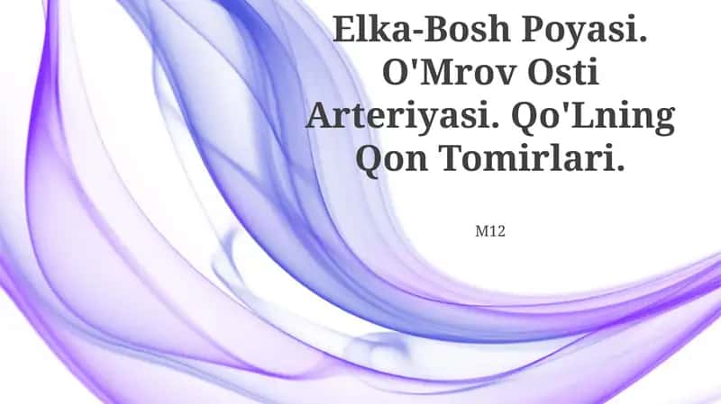 Elka-Bosh Poyasi, O'Mrov Osti Arteriyasi, Qo'Lning Qon Tomirlari